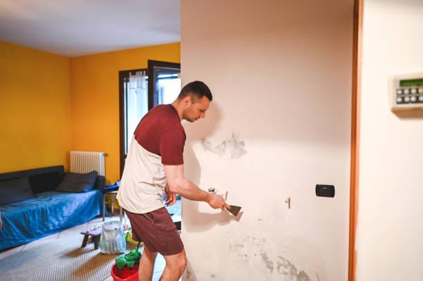 Best Residential Mold Remediation in Glastonbury Center, CT